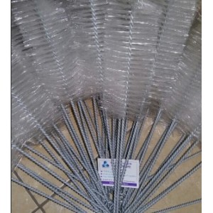 Chổi rửa thí nghiệm loại nhỏ